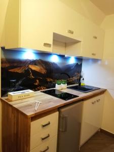 Apartamenty Folk Dream Harenda Zakopane