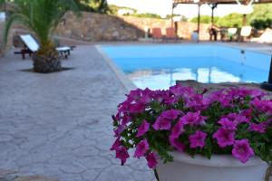 Anais Apartments Chios-Island Greece