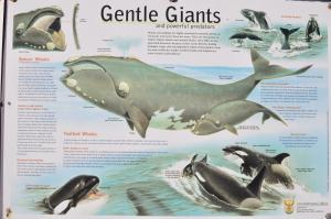 Zeezicht Guest House