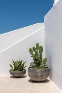 Avra Mykonos Myconos Greece