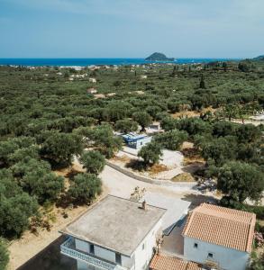 Olive yard house Zakynthos Greece