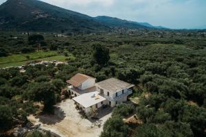 Olive yard house Zakynthos Greece