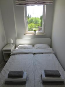 Apartament Kamelia