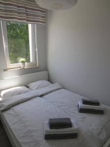 Apartament Kamelia