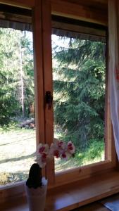 Chatka Nad Strumieniem