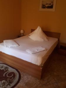 Complex Turistic Paralela45