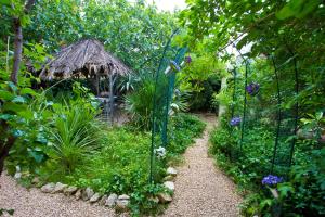 Apartments Silver Tree