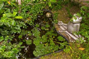 Apartments Silver Tree