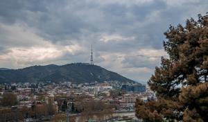 Apartments near Metekhi Cathedral