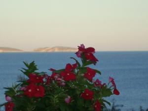 Stampalia Luxury Studios Astypalaia Greece