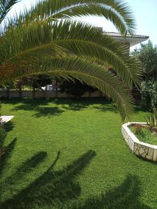 Villa MARGIANI Evia Greece