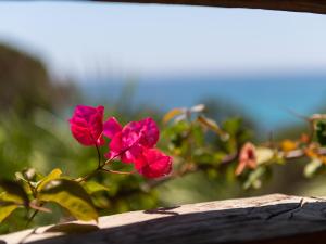 Villa Chiarenza, Tuerredda img33