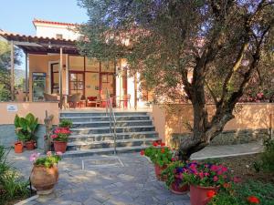 Nakellis Studios Lesvos Greece