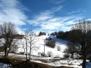 Appartements Mon Mounier : Studio cosy au pied des pistes / Vue de reve ! : photos des chambres