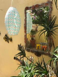 Holiday home Villa Bougainvillea Historic Home with Secret Courtyard