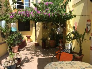 Holiday home Villa Bougainvillea Historic Home with Secret Courtyard