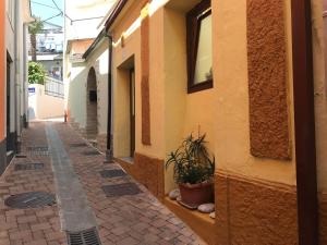 Holiday home Villa Bougainvillea Historic Home with Secret Courtyard