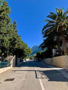 Apartment Cvita 