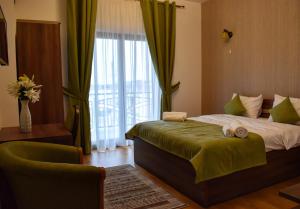 Superior Double Room room in Pensiunea Casa Hortopan