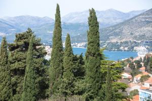 Spacious apartment near the old town