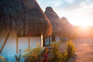 Ceiba by Masaya Collection