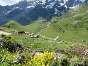 Appart'hotels LA MEIJE BLANCHE 