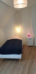 Appartements Gite Renaissance : photos des chambres