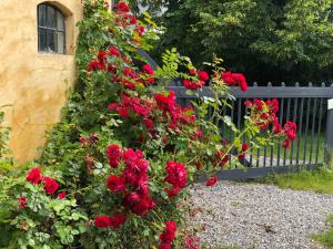 Vangeled Gaard B&B - Apartments