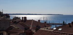 Apartment Piran Svobode 