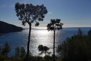 Studio avec Grand Balcon- Résidence de Caractère