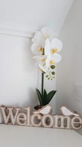 Orchidea Veszprém Apartman