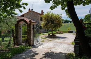 B&B Pino Cedro