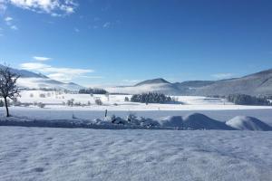 Maisons de vacances Gite Le Rucher : photos des chambres