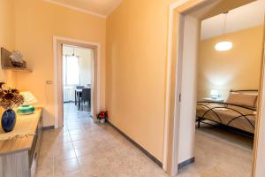 Il giardino degli ulivi