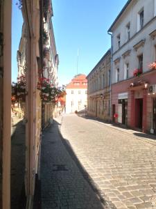 Loft w centrum Złotego Stoku