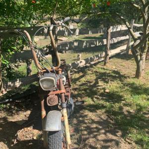 S'Imbragu Farm B&B img64