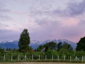 Popasul Montan - Piscina, Tenis & Vedere Munte