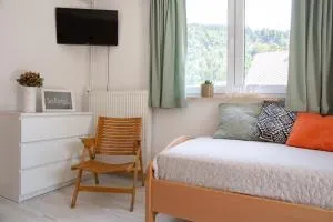 Apartments Korošec - Radovna