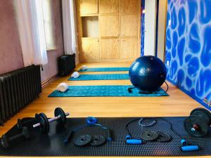 Maisons de vacances Maison d'architecte en plein coeur d'Honfleur avec bain nordique : photos des chambres