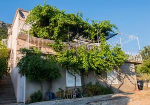 3 star Апартамент Apartment Mare Стон Хорватия