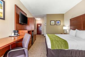 King Room with Accessible Tub - Accessible/Non-Smoking room in Comfort Inn Lenoir City