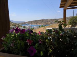 Notos Villa Schoinoussa-Island Greece