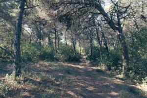 Antica Villa Colonica img46