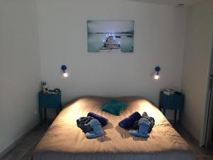 B&B / Chambres d'hotes La Bastidasse : photos des chambres