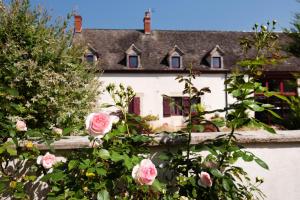 Appartements Gite 1er Cru - La Loubertine : photos des chambres