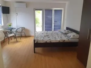 Damir Emir - Lukavac