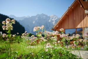 Vila Planinka, Zgornje Jezersko 67, 4206 Zgornje Jezersko, Slovenia.