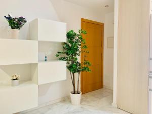 Homely Málaga Parras con terraza interior y parking privado bajo suplemento