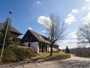 Cozy Apartment in Todtnauberg with Terrace