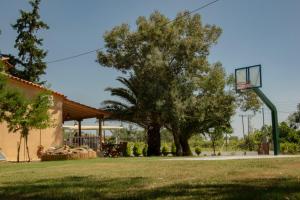 Salty Paradise House